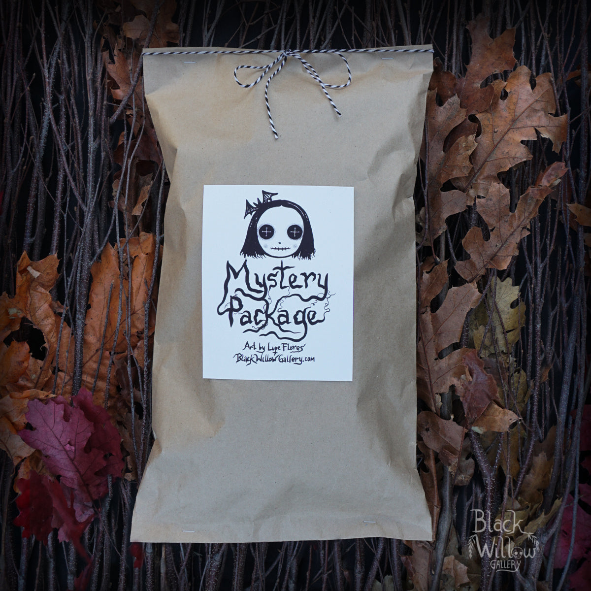 Mystery Package Art Doll Pillow Edition